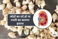 Benefits of Gokhru for Kidney stone arthritis joint pain digestion sexual wellness