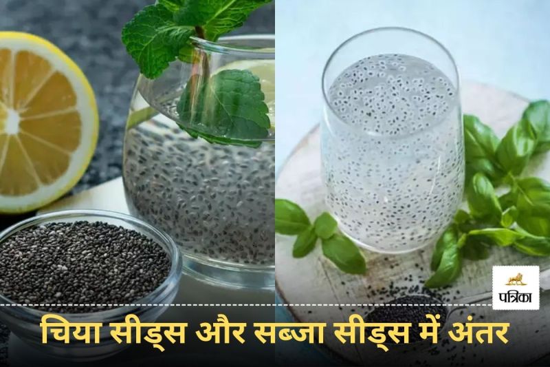 Difference between Chia and Sabja Seeds