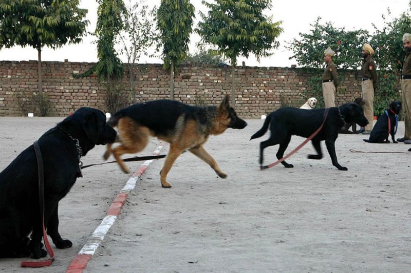 Bomb Theat in Delhi: तहव्वुर राणा के दिल्ली पहुंचने से पहले लाल किला और जामा मस्जिद बम से उड़ाने की धमकी, मचा हड़कंप