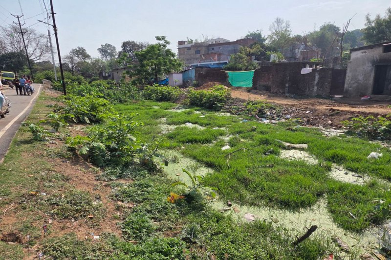 Dirty water in canal: सिंचाई के लिए बनाया गया था नहर, अब बह रहा घरों का गंदा पानी, भरा पड़ा है कचरा, डेंगू-मलेरिया का खतरा