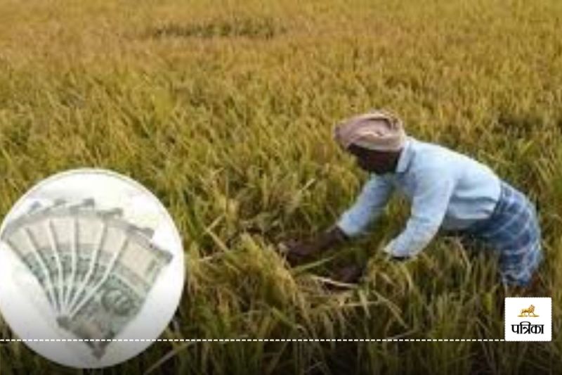 CG News: खरीफ सीजन के लिए ऋण वितरण शुरू, इस तारीख तक किसानों को मिलेगा ऋण, जानें Details