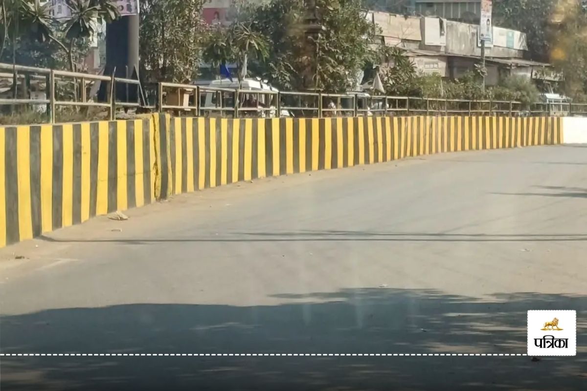 World Earth Day 2025: तपती धरती का दहकता सच! बिछा कांक्रीट सड़कों का जाल, घट रही हरियाली..