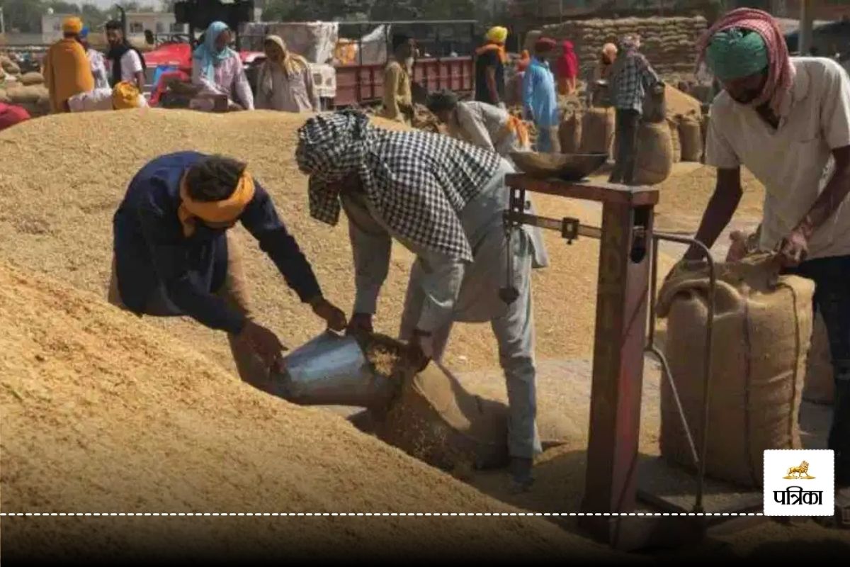 CG News: समर्थन मूल्य पर खरीदे गए धान में बड़ी गड़बड़ी, केंद्र प्रभारी समेत 3 पर
FIR दर्ज