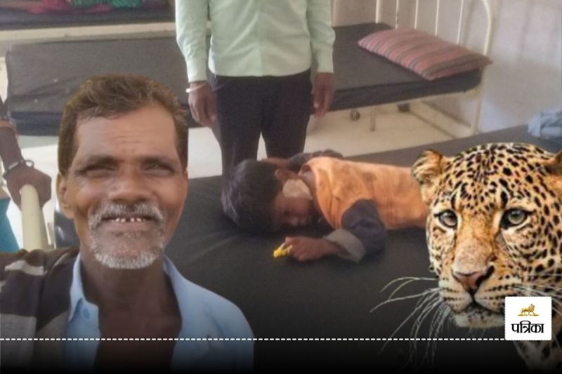 CG News: आंगन में खेल रहे मासूम को उठा ले गया तेंदुआ, फिर दादा ने ऐसे बचाई पोते की जान, गांव में खूब हो रही चर्चा...