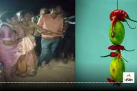 Bilaspur Crime News: नींबू-मिर्च लेकर श्मशान घाट में कर रहे थे तांत्रिक क्रिया, मौके पर पहुंची पुलिस फिर... 4 महिला समेत 12 गिरफ्तार