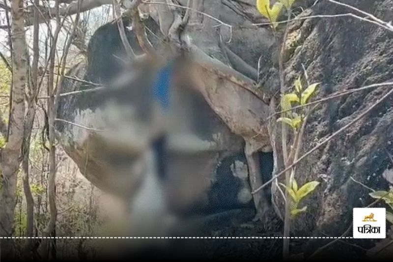 Jashpur News: शादी से चंद रोज पहले सरपंच की बेटी की मौत, जंगल में पेड़ पर लटका मिला शव, परिवार में छाया मातम