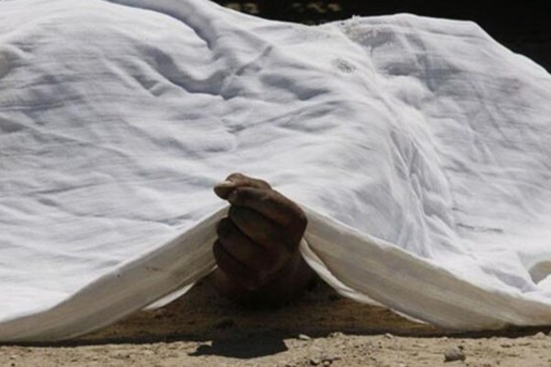 Road accident: एनएच पर तेज रफ्तार वाहन की टक्कर से महिला की मौत, ढाबा से खाना लेकर लौटते हुई हादसे का शिकार