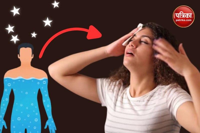 Dehydrating Foods In Summer