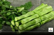 Drumstick Benefits