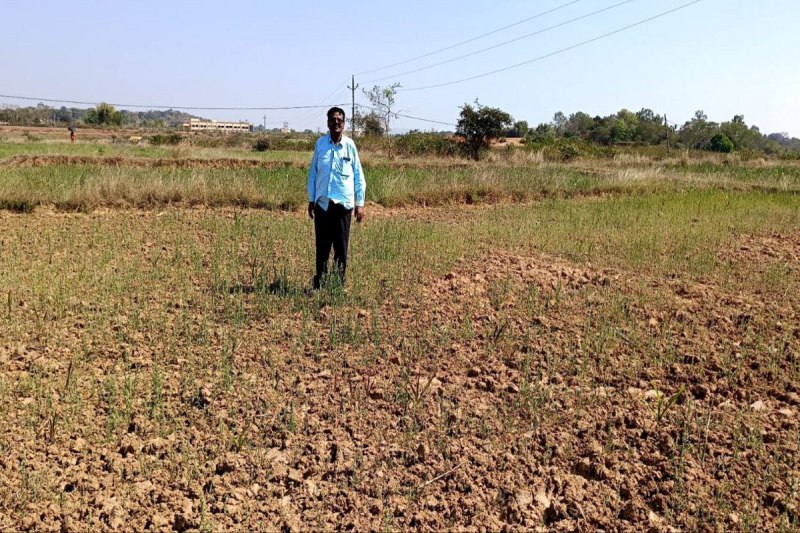 Fake seeds: Video: ब्रांडेड के नाम पर थमा दिए मक्के के नकली बीज, कहा था- पैदावार नहीं हुआ तो लौटा दूंगा रुपए, किसान को लगी 2 लाख की चपत