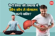 Healthy Liver
