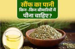 Fennel Seeds Benefits: इन 5 बीमारियों से राहत पाने के लिए रोज सुबह खाली पेट पिएं
रातभर भीगे सौंफ का पानी - image