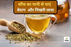 Fennel Seeds Water: गर्मियों में सौंफ का पानी पीजिए और पाएं बेदाग और निखरी त्वचा - image