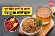 Fenugreek seeds cholesterol management