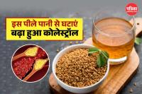 Fenugreek seeds cholesterol management