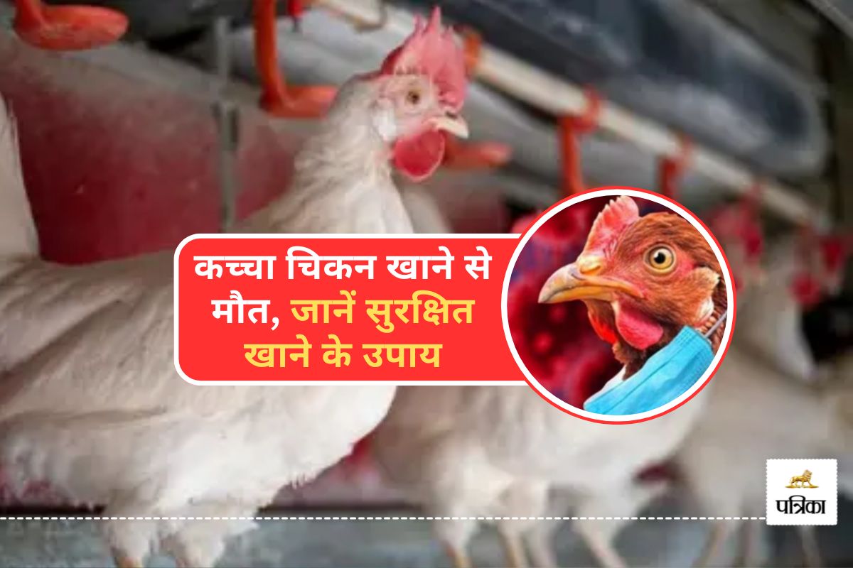 Bird Flu Alert : आंध्र प्रदेश में कच्चा चिकन खाने से दो वर्षीय बच्ची की मौत, जान
लीजिए खाने का सही तरीका