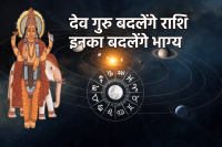 Guru Gochar 2025 Career