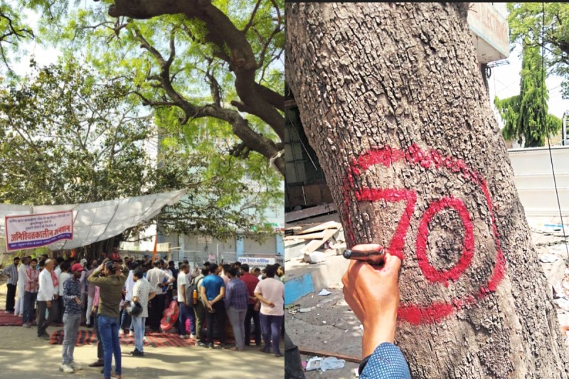 JDA Action in jaipur