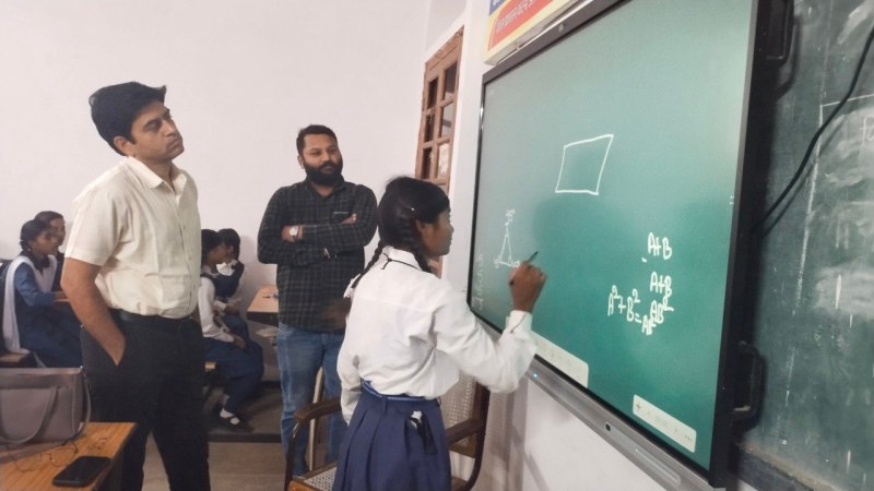 collector taught the girl students