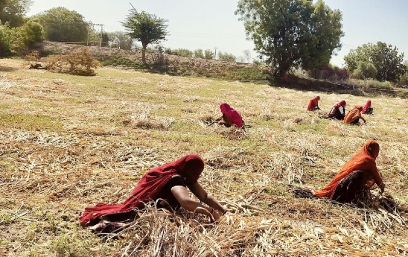 Land records of villages