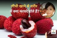 Litchi in summer benefits