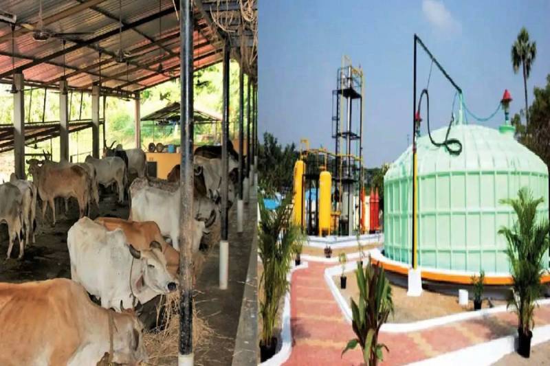 MP News Gail Company Cng Plant