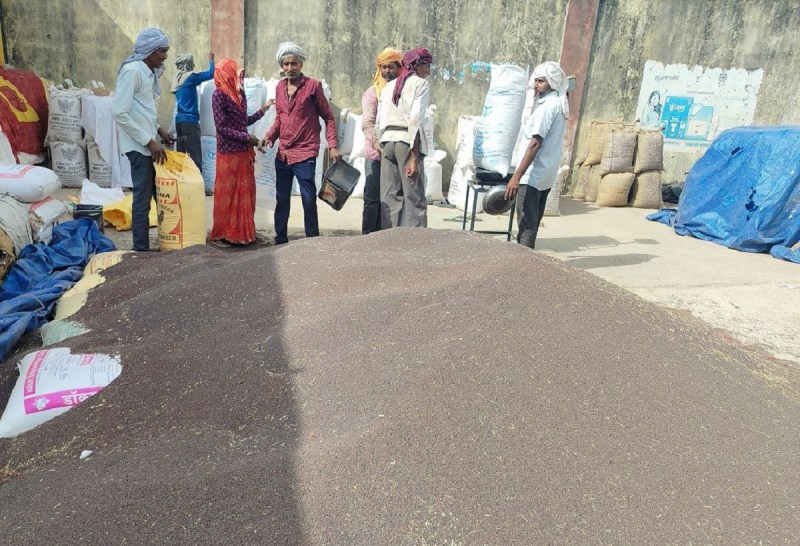 MSP and market price