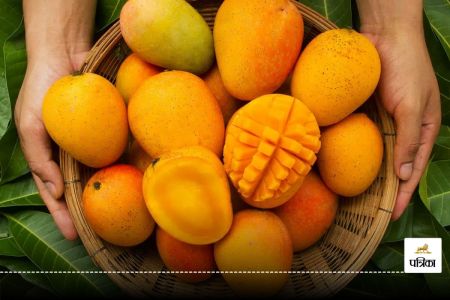 Mango Side Effects