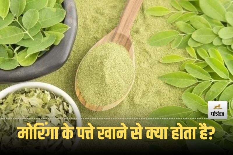 Moringa Leaves Benefits For Female