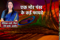 Morpankh Benefits Vastu Niyam