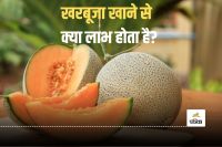 Muskmelon Benefits in summer