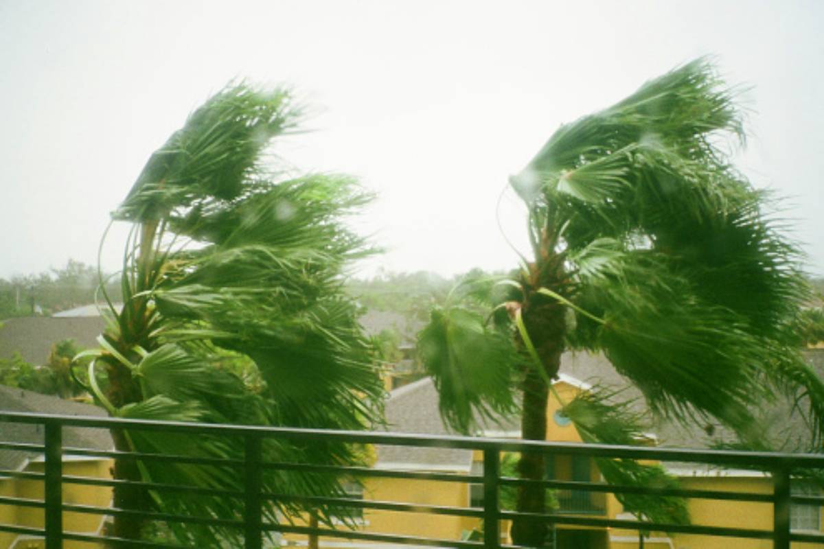 Western Disturbance