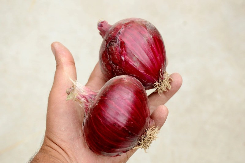 Weather Alert, Heat Wave Alert