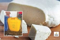 Rajasthan News : सावधान! केमिकल डालकर बना रहे पनीर, 1100 किलो जब्त, ऐसे करें
असली-नकली की पहचान - image