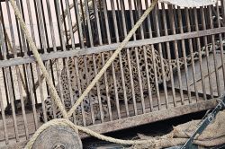 Dausa Panther Rescue: श्वान को देख पिंजरे में कैद हुआ पैंथर, 20 दिन बाद
ग्रामीणों ने ली राहत की सांस - image