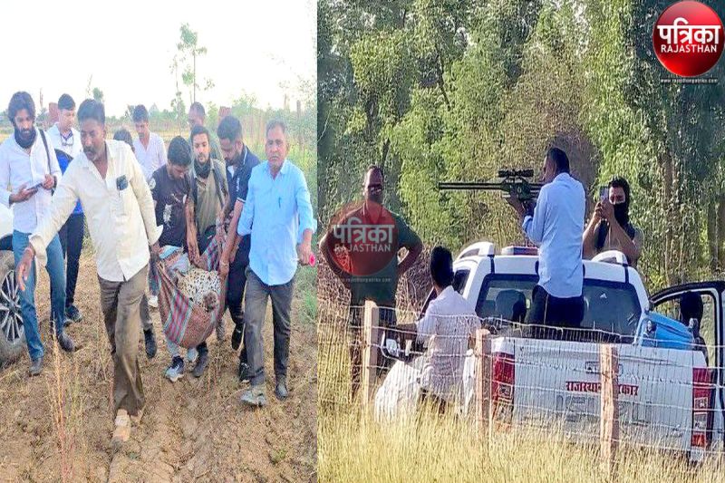 Watch Video : भोजन-पानी की तलाश में घूम रहा था पैंथर, पीछे दौड़ा तो लोग जान बचाकर भागे