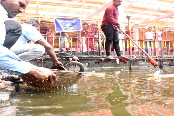 Patrika Amratam jalam