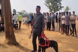 Woman murder: Video: दिनदहाड़े घर में अकेली रही महिला की धारदार हथियार से हत्या,
पहुंची पुलिस और डॉग स्क्वायड की टीम - image