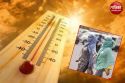 Rajasthan Braces for Severe Weather Changes