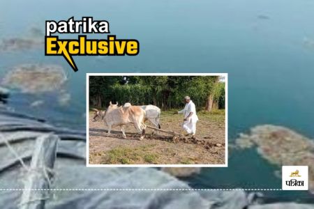 Rajasthan Farmers Great Jugaad they Dug Tube wells in Haryana and Earning Huge Profits in Jhunjhunu