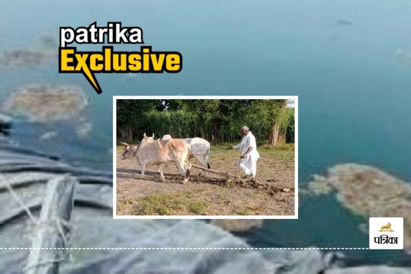 Rajasthan Farmers Great Jugaad they Dug Tube wells in Haryana and Earning Huge Profits in Jhunjhunu