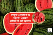 Watermelon adulteration test How to check fake watermelon 5 Surefire Ways to Choose Real Watermelon