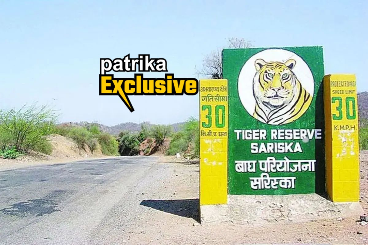 Sariska-Tiger-Reserve