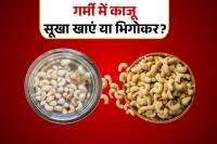 Soaked Cashew Vs Dry Cashew