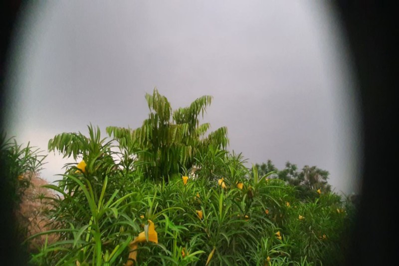 Delhi NCR Rain Weather