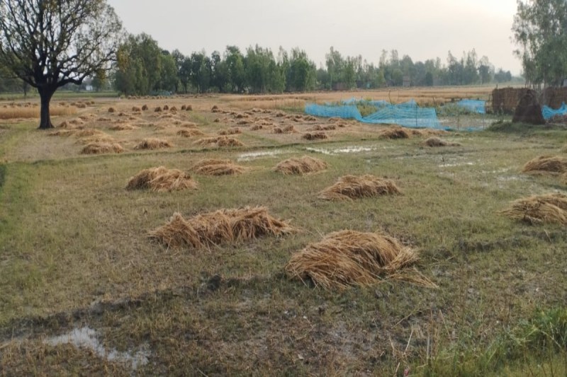 तेज हवाओं ने उड़ा दिए छतों के गमले, सोलर प्लेट और पानी की टंकियां; संभल में बिजली गिरने से खजूर का पेड़ जलकर राख; सीएम योगी ने मुआवजे और सर्वे के निर्देश दिए