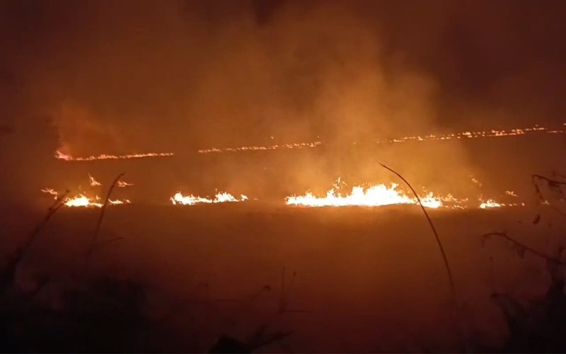 Accident averted: Fire broke out in stubble near gas depot, people panicked