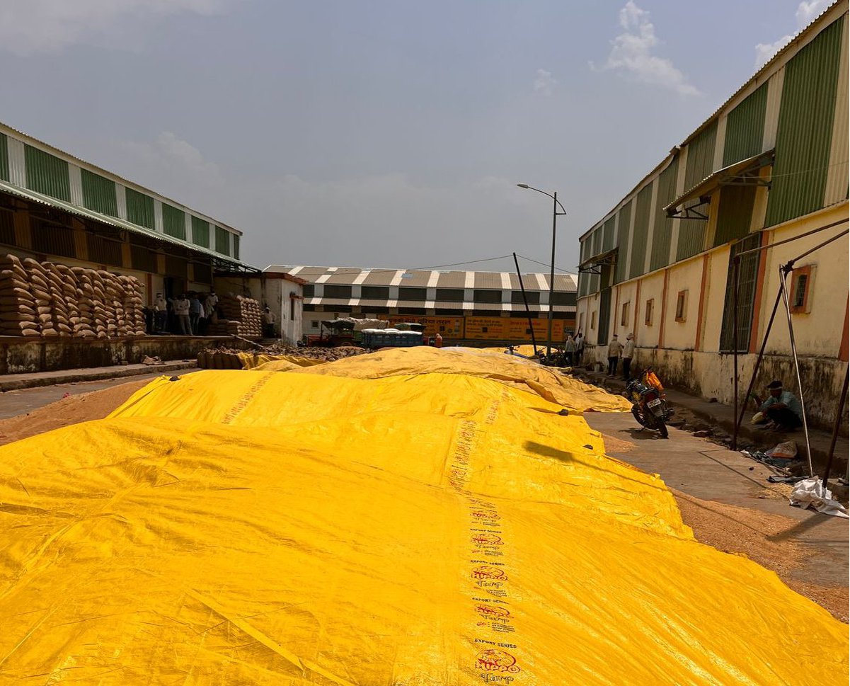 Two and a half lakh quintals of wheat were purchased at Mandi and Support Price Centres