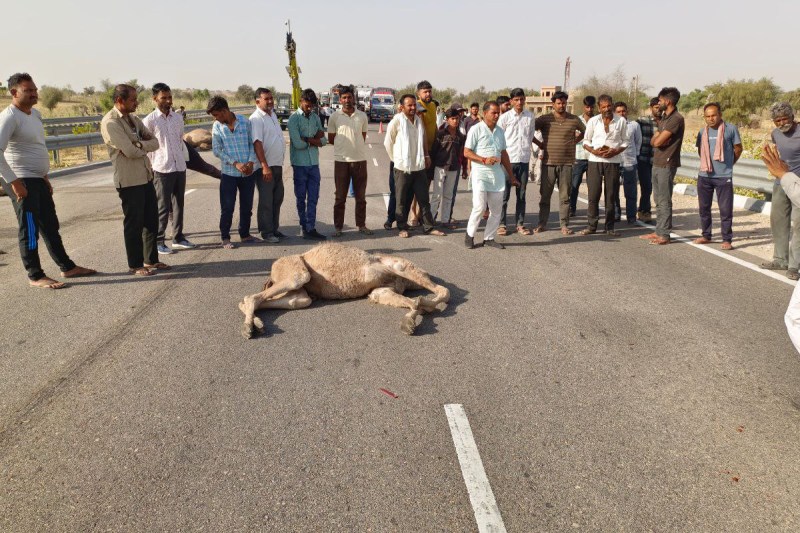 accident on Bharatmala National Highway