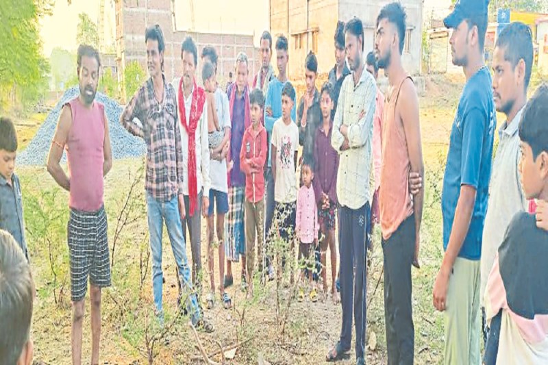 CG News: रिहायशी इलाके पहुंचा चीतल, कुत्तों के नोचने से हो गई मौत,